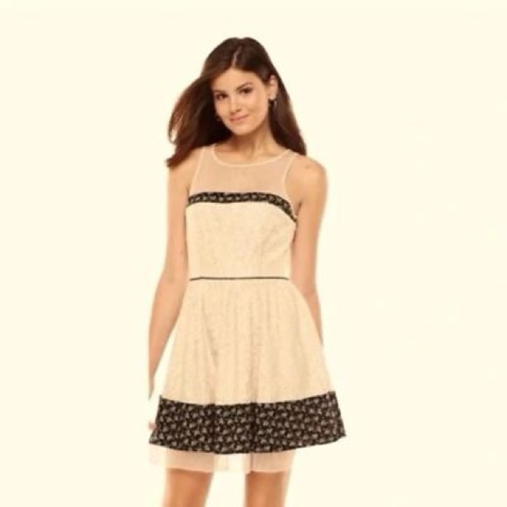 LC Lauren Conrad - Cream and Black Dress with Lace Accents Size 8